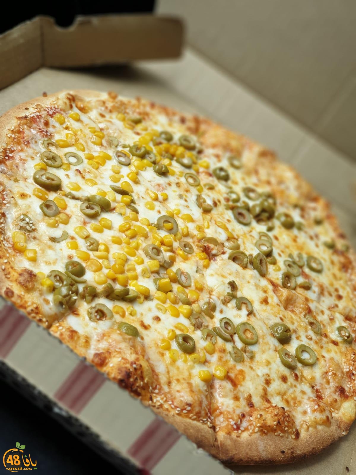 WhatsApp Image 2021-01-17 at 1.47.54 PM.jpeg